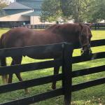 2019_OTRA_0627 (September 01, 2019)